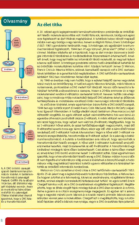 kísérleti tankönyv újgenerációs tankönyv I.2. Korszerű műveltségkép közvetítése A probléma- és jelenségközpontú megközelítés elsősorban a kísérletek és az érdekességek esetén érhető tetten.