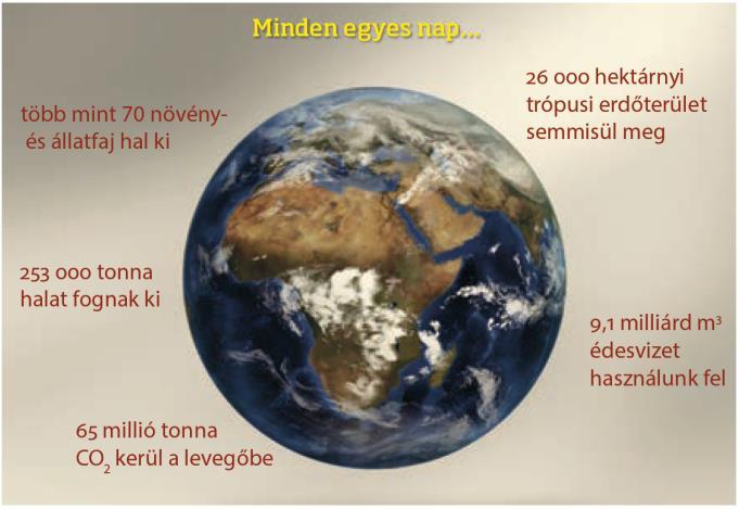 Milyen megoldásokat javasolnál az alábbi képen látható problémák megoldására?