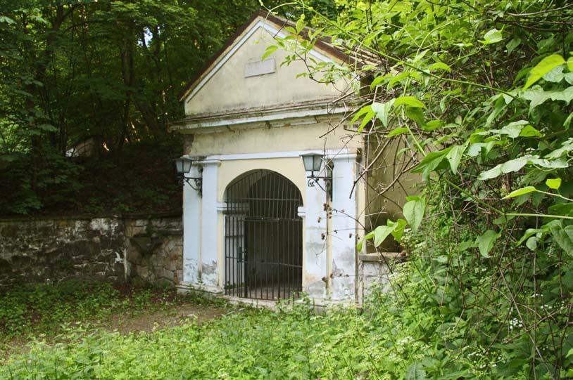 DISZNÓFŐ 9
