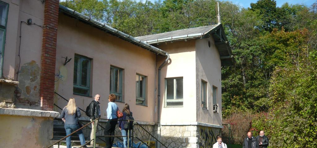 MEGLÉVŐ