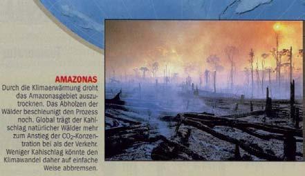 egyes ökoszisztémákra