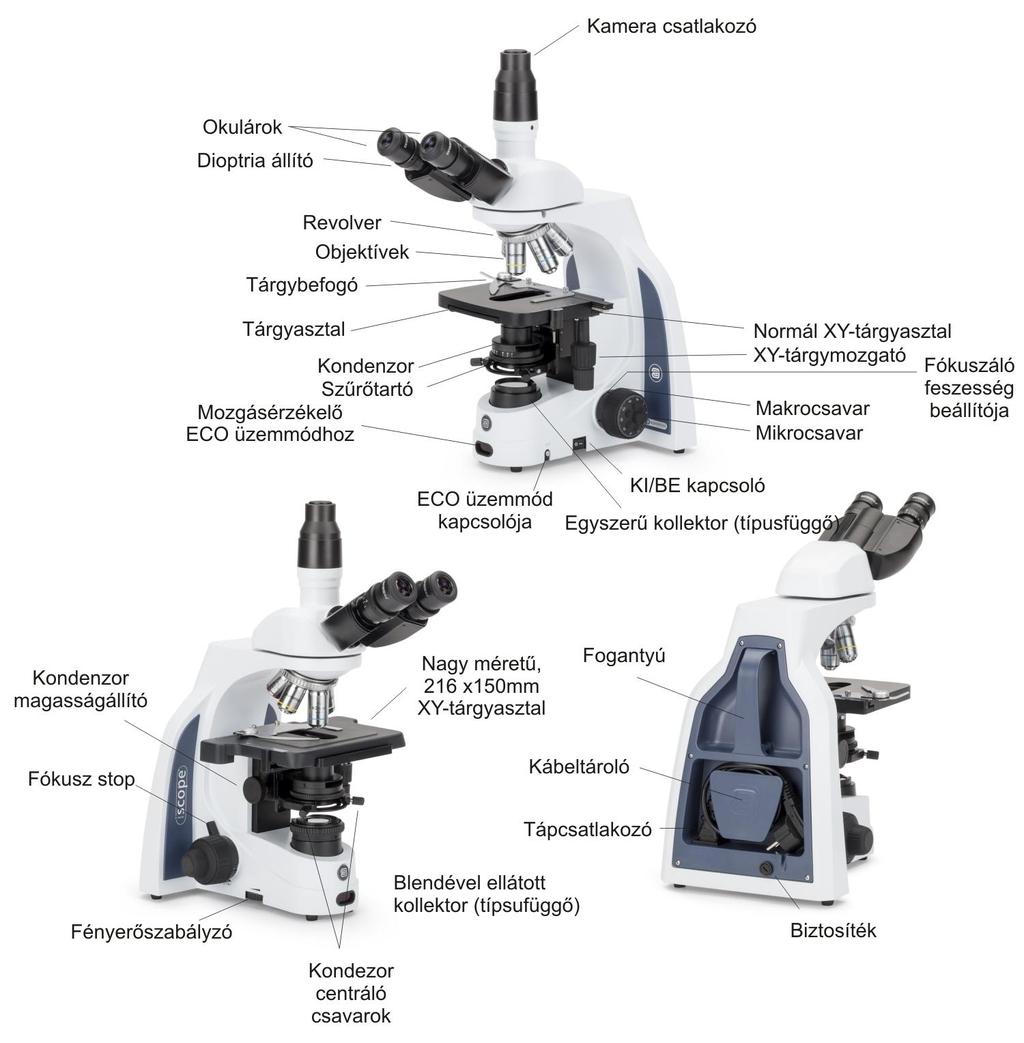 Tájékoztató ábra: Bevezető Az Euromex iscope mikroszkópjai jó minőségű E-Planachromat, vagy IOS Planachromat optikákkal