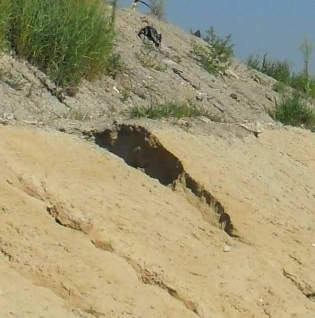Esettanulmány In-situ termőközeg-előállítás az A.
