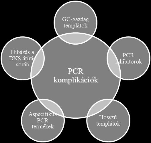 A hőstabil DNS polimerázokat a molekuláris biológiai módszerek széles spektrumában alkalmazzák, viszont a kapott eredmény függ az enzim pontosságától, exonukleáz aktivitásától, átírási sebességétől,