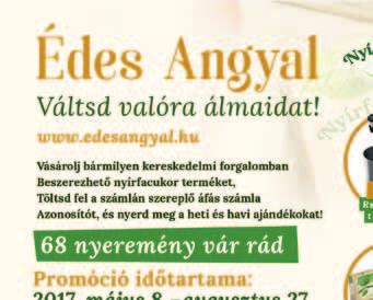 ALAPVETŐ ÉLELMISZER DR.