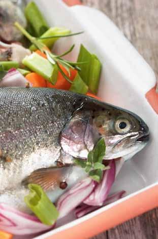 H A L A HÓNAP HALA: PISZTRÁNG (ONCORHYNCHUS MYKISS) PISZTRÁNG ZSIGERELT (ONCORHYNCHUS MYKISS) 200-350g 1629,- 2068, 80 A