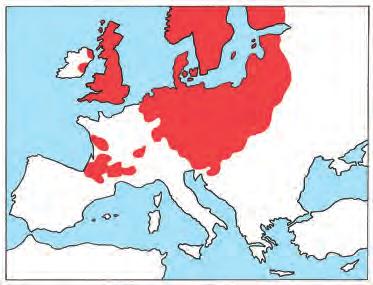 Hogyan változott meg a földrajzi felfedezések után az élet Európában és Amerikában? Kik indították el a reformációt? Melyek voltak a mozgalom legfôbb céljai?