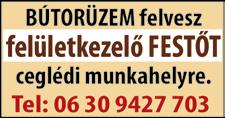 M u n k a v é g z é s e g y m ű s z a k o s m u n k a r e n d b e n, H - P - i g. E l ő n y : f e s t ő -, v a g y h a s o n l ó t a p a s z t a l a t.