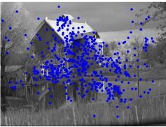 Heat Map,