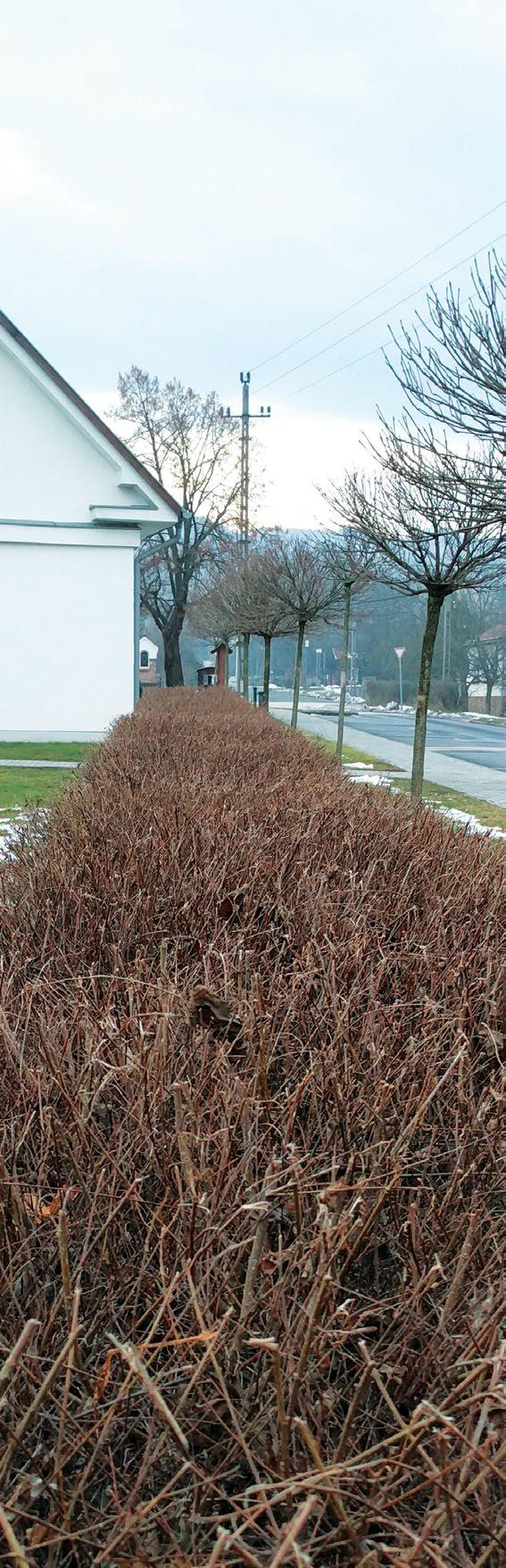 vezéseknél számos szempont mellett a tájképbe illeszkedés és gazdasági előnyök elérése érdekében elengedhetetlen a meglévő állapot felmérése és az abból számítható adatok.