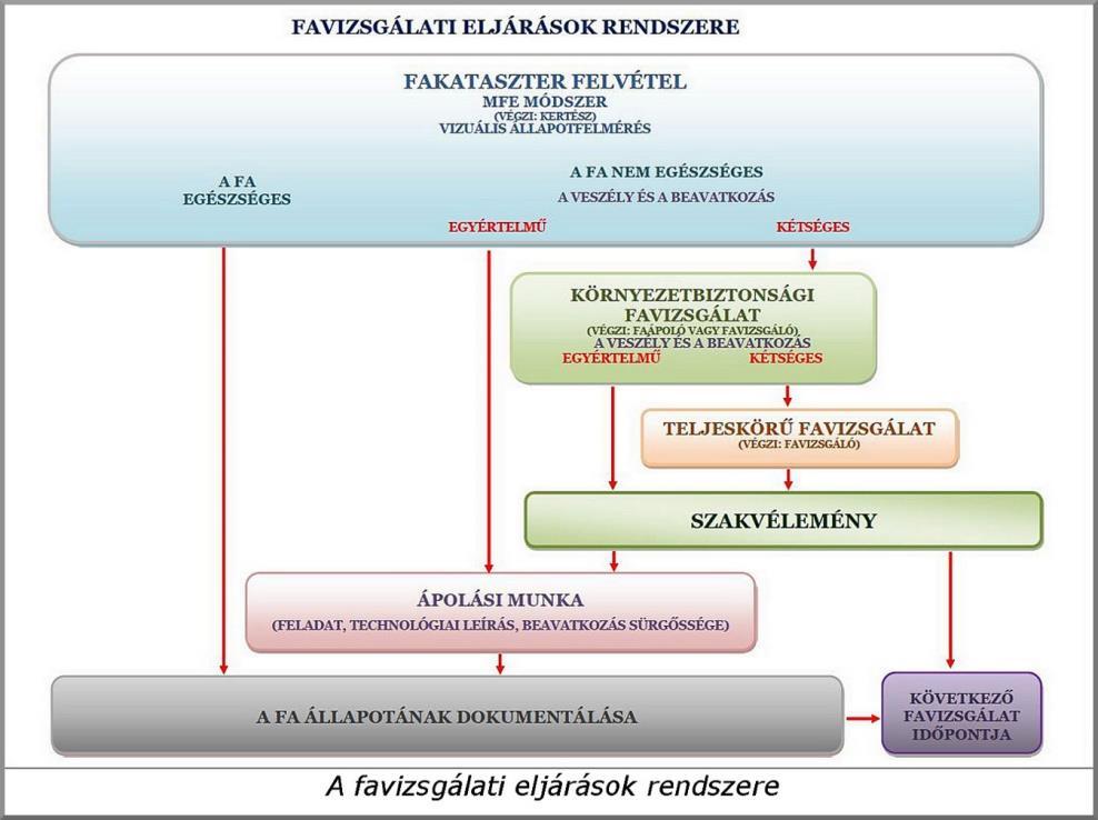 3 A favizsgálat A Magyar Faápolók Egyesülete 2017.