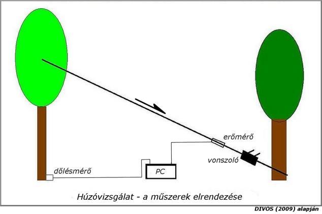 VIZUÁLIS ÉS MŰSZERES FAVIZSGÁLATI ÚTMUTATÓ A rendszer előnye, hogy hozzá nem férhető helyen lévő (burkolat alatt található) gyökérzet vizsgálatát is lehetővé teszi.