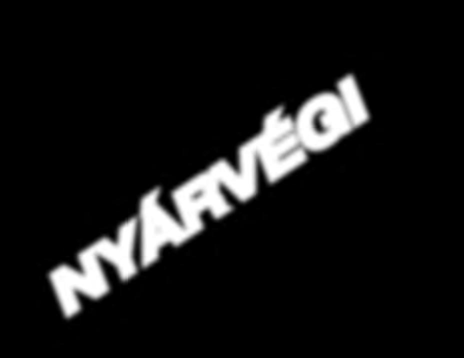 nagykereskedelmi