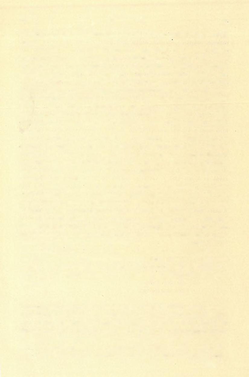 (2 ) FÖLVÉTELI JELENTÉS. 147 és reám fordított fáradságukért e helyen is hálás közönetemet nyilvánítanom. Miután Treitz Péter geológus úr szeptember első felében a nagyméltóságú magy. kir.