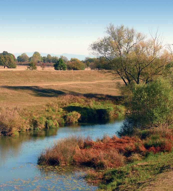 Mi a Natúrpark? A Szatmár-Beregi Natúrpark - PDF Ingyenes letöltés