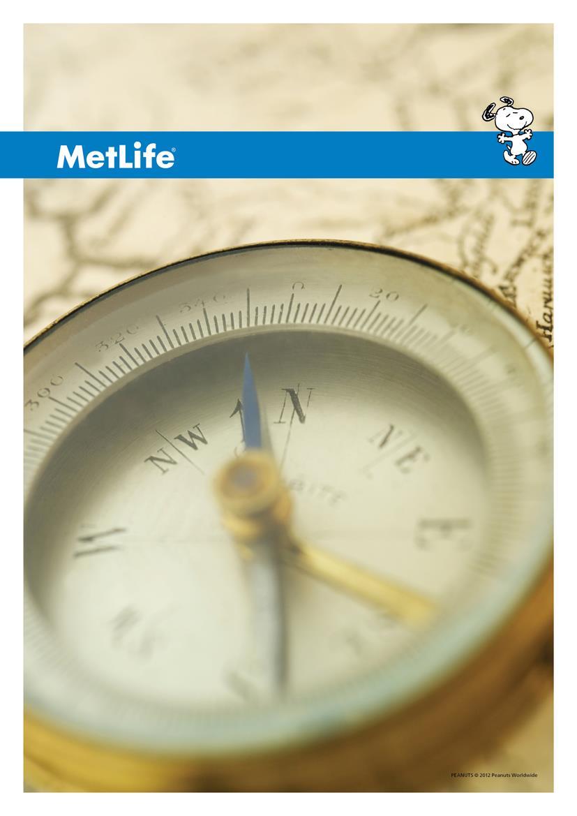 Befektetési jelentés MetLife Europe
