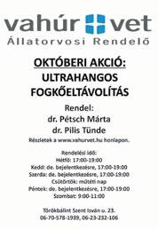 11 SZEPTEMBERI ELŐZETES 9. vasárnap XI.