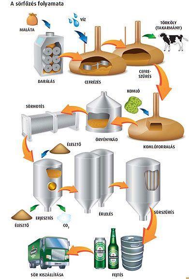 A SÖRGYÁRTÁS MŰVELETI LÉPÉSEI 1. Sörfőzés Malátaőrlés Cefrézés Cefreszűrés Komlóforralás 2.