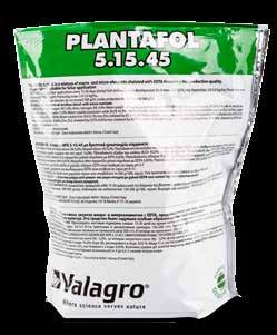 + = Vetés, ültetés Virágzásig, lombnövekedés Gumónövekedés Alaptrágyázás Myco Sol PTC 150-200 kg/ha Lombnövekedés,