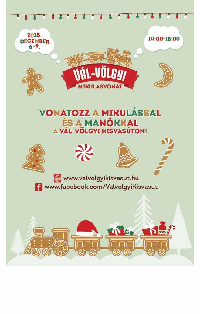 Vezetőedzői