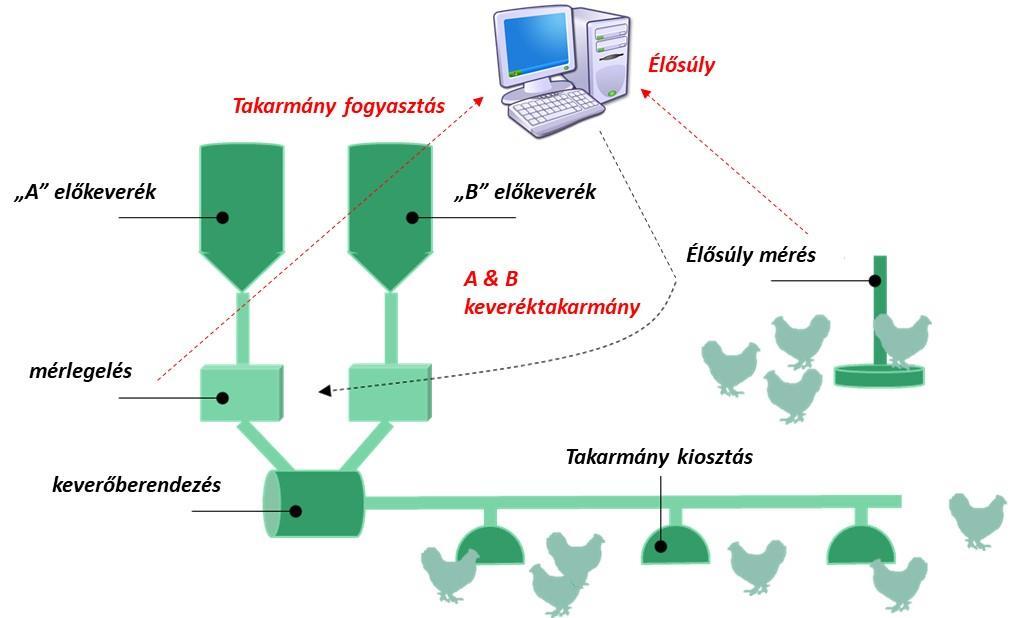 A precíziós rendszerek további előnye, hogy a madarak élősúlyának kontrolljával és a takarmány fogyasztás folyamatos nyomon követésével az állományban jelentkező vagy a várható problémák időben
