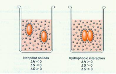 acid 2 Gastric juice, lemon juice 3 Vinegar, wine, cola 4 Tomato juice Beer Black coffee 5 6 Neutral