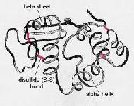 different monomer units, then