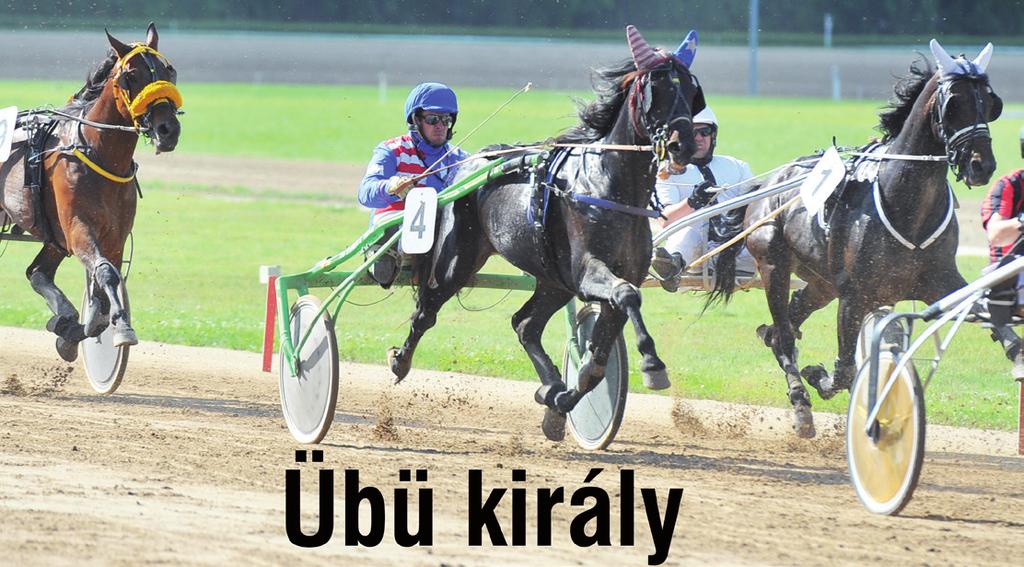 Derby visszaszámlálás 2017-ben sem tétlenkedik az AMMA istálló legfőbb Derby reménysége, Übü király.
