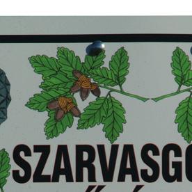 Mihály és dr. Pap Géza vezetésével.