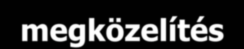 Fenomenológiai megközelítés Az egyén szubjektív élményeire összpontosít,