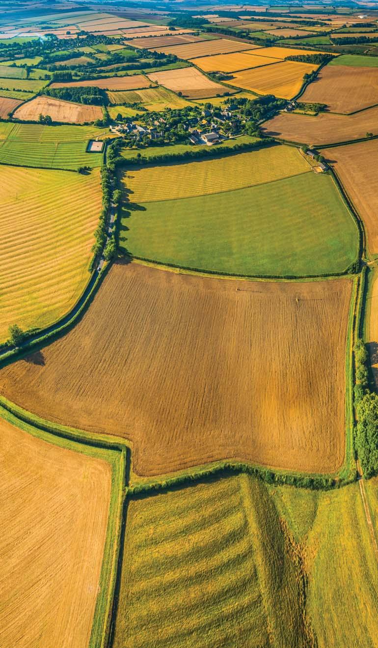 AGROTAX
