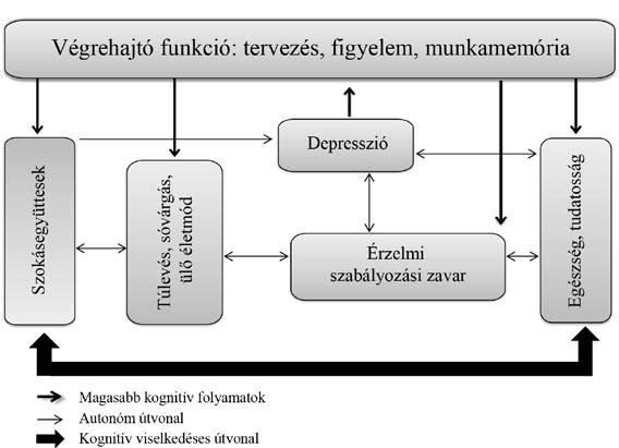 140 Perczel-Forintos Dóra rápiás intervenciók épp ezekre a tényezőkre irányulnak (ld. fentebb), de nem elégségesek.