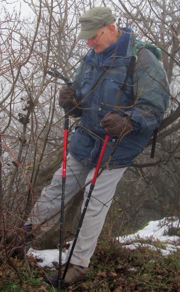 Balra: 2012 decemberében a Kötők Padja közelében a budai hegységben.