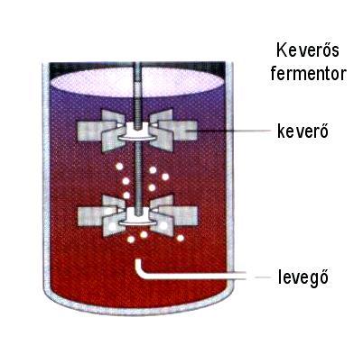 Élesztőgyártás Mi a különbség? A levegő! A pékélesztő (Saccharomyces cerevisiae) fakultatív anaerob ami azt jelenti, hogy oxigén jelenlétében és anélkül is tud szaporodni.