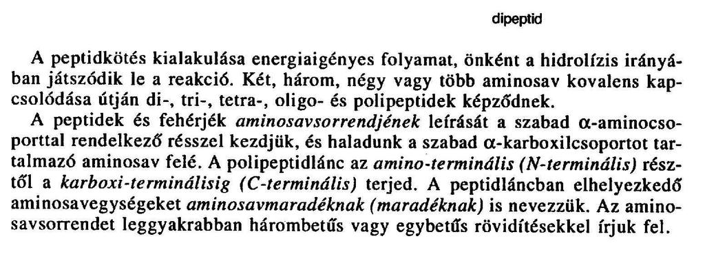 33 Fehérjék jelölése Izotópjelölés jelentősége: szerkezetvizsgálat, funkcióvizsgálat, kimutatásuk, lokalizálásuk, kvantitatív meghatározásuk, Fehérjeszintézis in vivo mérése, tumordiagnosztika,