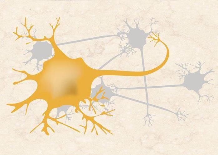 Elektrofiziológia egyelektródás rendszerek Juxtacell Intracell Extracell Extracelluláris (üveg) Juxtacelluláris (üveg) Intracelluláris (üveg) atch-clamp (üveg) Egyszerű drót (fém)