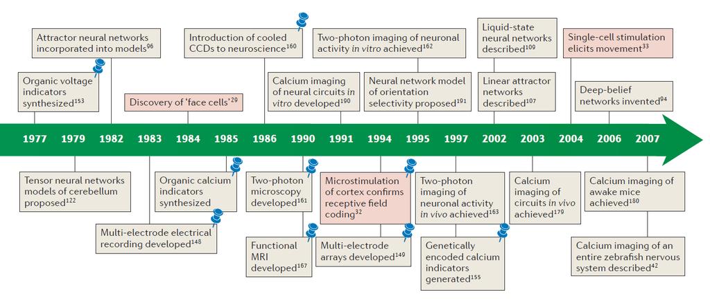 a hálózatokig Kulcstechnikák: 1977: Szerves feszültség-indikátorok (Salzberg és mtsai) 1983: Multi-elektród elvezetések, stereotród (Buzsaki és mtsai, McNaughton és mtsai) 1986: Digitális