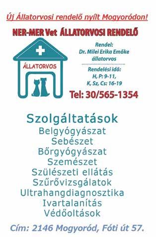 Tavaly tavasszal a Dollhouse Amatőr Bajnokság-on indult és kezdő kategóriában ért el első helyezést mazsorettel fűszerezett koreográfiájával, amit idén továbbfejlesztettek és a zalaegerszegi Restart