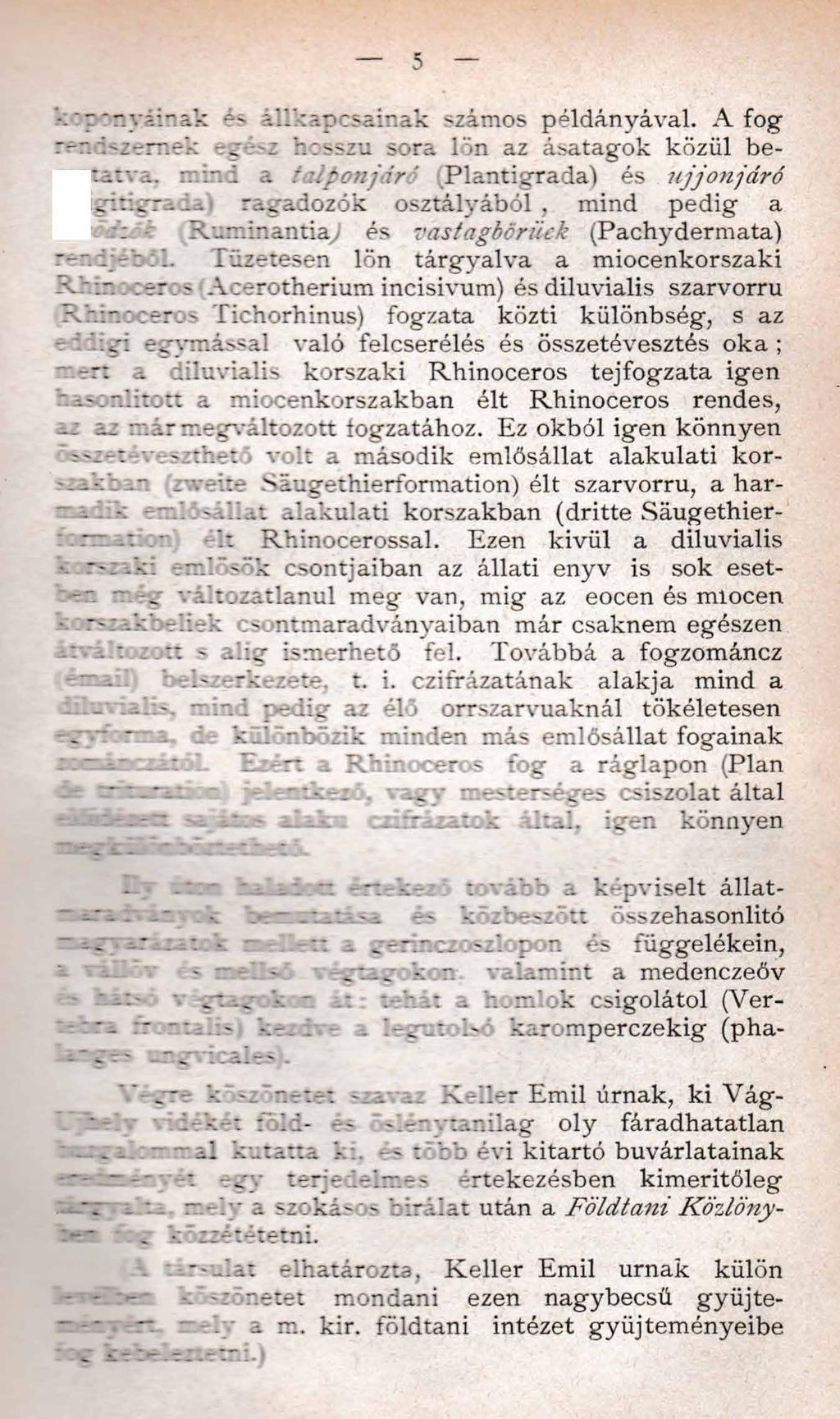 5 rr.yvir.ak ' állkapcsainak számos példányával. A fog '- t tv. tc-.-'- htsszu sora lön az ásatagok közül beitva.