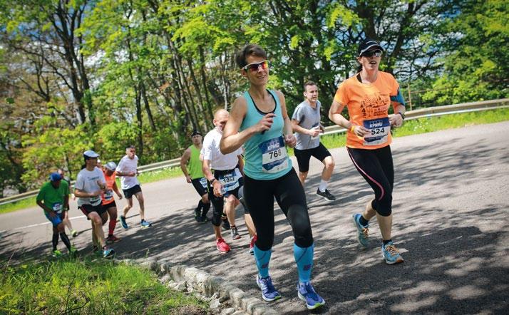Meg kell jegyezni, hogy az évelő gyomok, a napraforgó árvakelés és a szerbtövis esetében a hatása csak a már