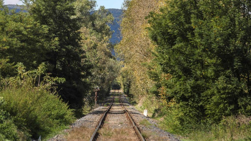 Nagyívű fejlesztések robbanásszerűen növekvő karbantartási költségek Évtizedes elmaradások 100 km/h sebességű pálya vs.