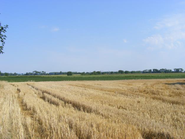 Pörböly örökségvédelmi hatástanulmány, 2018. 1-2. kép: Pörbölyi tájképek (a Sárköz síksága, ártéri erdő-részlet) Az I.