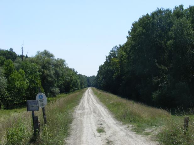 Az egész Sárközt vegyesen mocsárként, valamint ártéri erdőként jelölték, melyet a Duna mellékágai hálóztak be. A táj jellege a II.