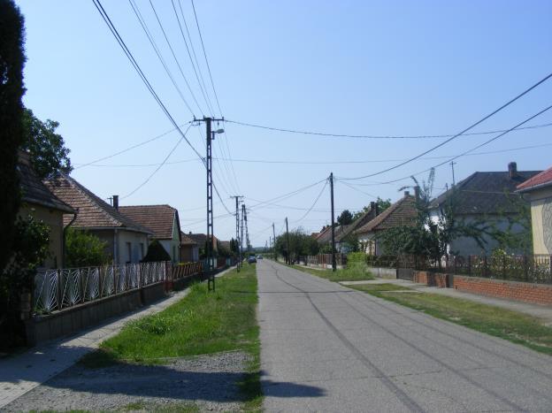 Az útvonal éppen a falu átkelési szakaszán szabálytalan vonalvezetésű, míg külterületen mindkét irányban nyílegyenesen halad az ugyancsak nyílegyenes vasútvonallal párhuzamosan.