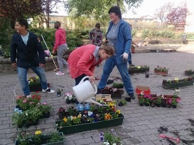 kerülő Tavaszi Virágözön virág beültetési programja zajlott, balkonládákba és szabad