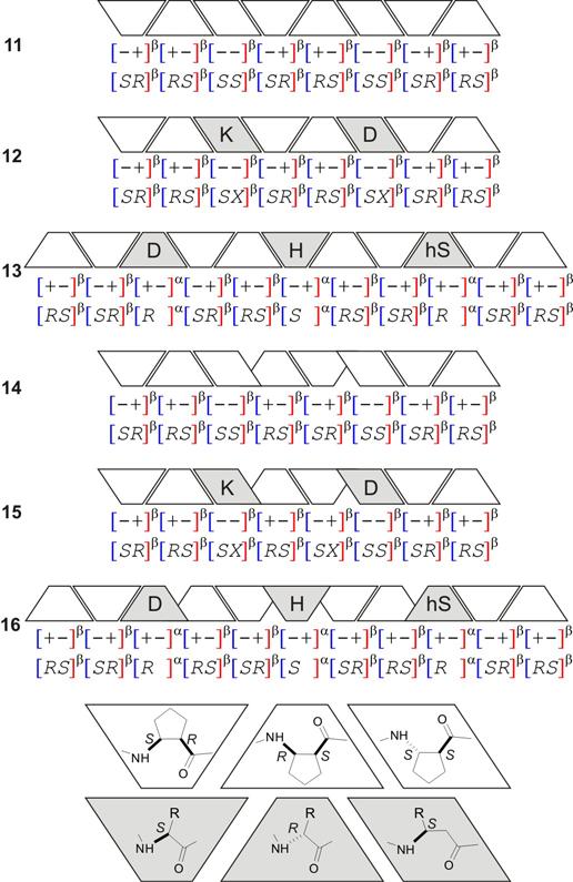 11. We tested the SPA experimentally in terms of sequences with novel backbone stereochemical pattern (Figure 3). Figure 3.