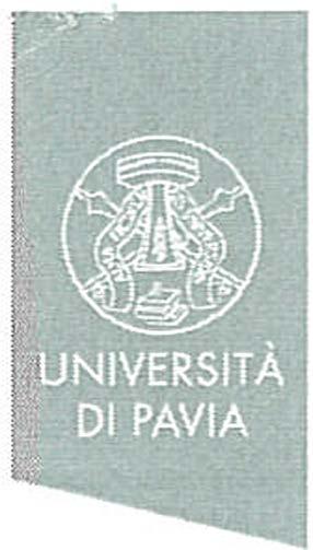 ADDENDUM "C" TO THE INTERNATIONAL FRAMEWORK COOPERATION AGREEMENT ON A DUAL DEGREE PROGRAM Between FACULTY OF ECONOMICS AND BUSINESS ADMINISTRATION UNIVERSITY OF SZEGED and DEPARTMENT OF ECONOMICS