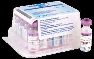 feletti megrendelés esetén 15%