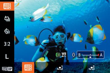Élességállítási tartomány Víz alatti makró 8 Gyors Leírás Közeli felvételeket készíthet tengeri élőlényekről, a digitális zoom használatával pedig még jobban ráközelíthet a témára.