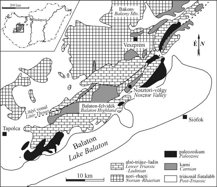 RAUCSIK B. et al.